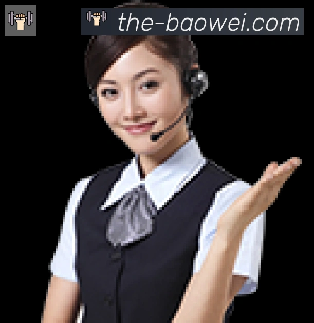 未来规划
